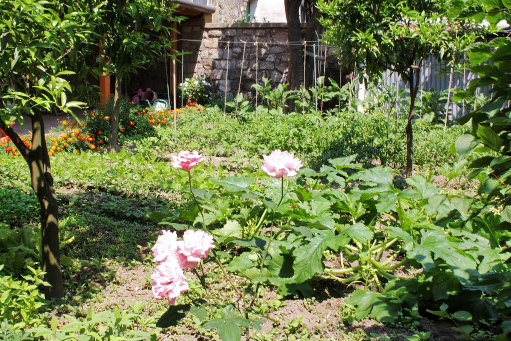 Chez Chantal Bed and Breakfast Meta Εξωτερικό φωτογραφία